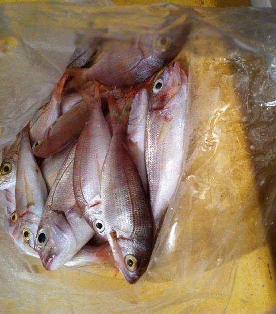 Prodotti della pesca