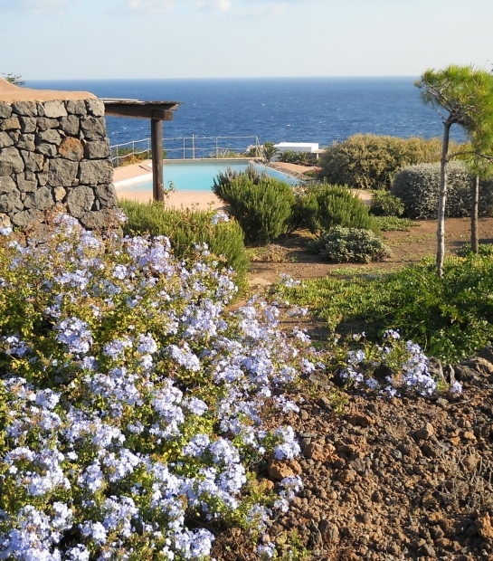 Dammuso con piscina e vista mare