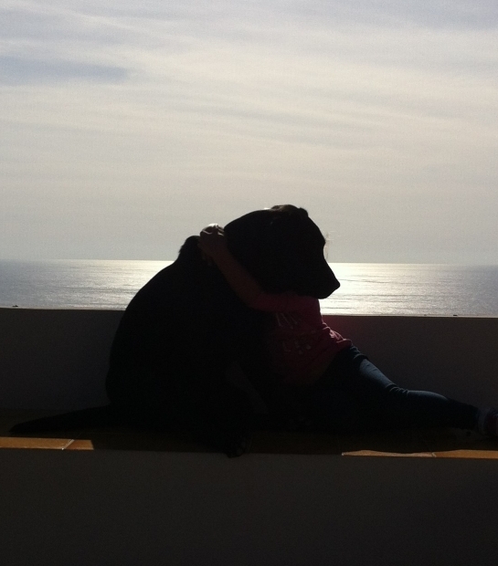 Dammusi I  JARDINA, the pets friendly resort