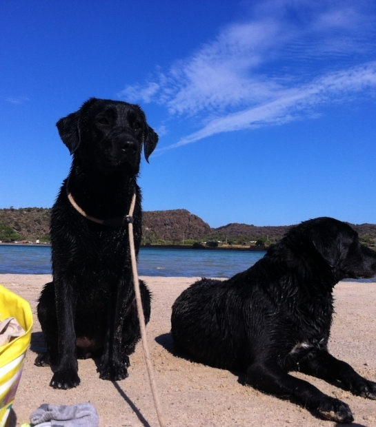 Pantelleria Island, the perfect place to spend your holidays with your pets friend: here at Venere Lake